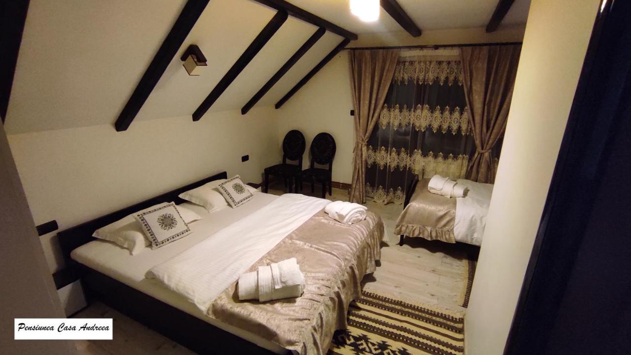 Pensiunea Casa Andreea - Barsana Maramures Bîrsana Екстериор снимка