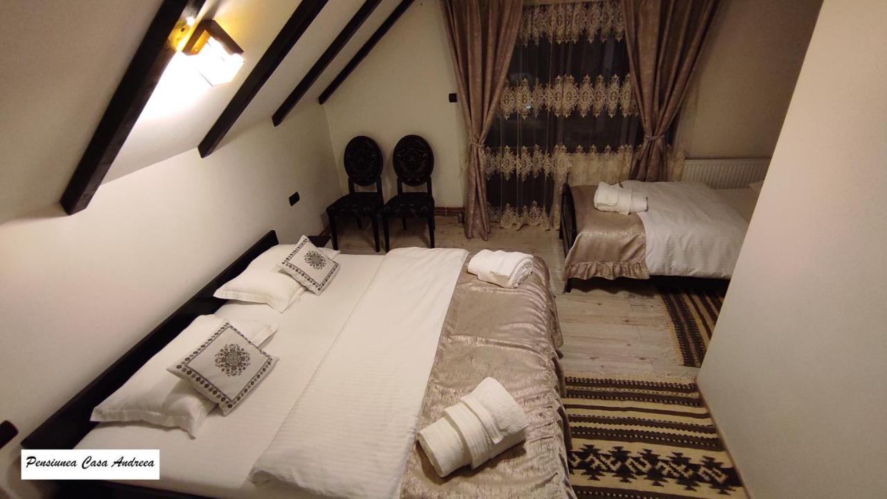 Pensiunea Casa Andreea - Barsana Maramures Bîrsana Екстериор снимка