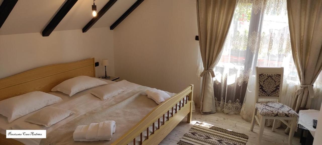 Pensiunea Casa Andreea - Barsana Maramures Bîrsana Екстериор снимка