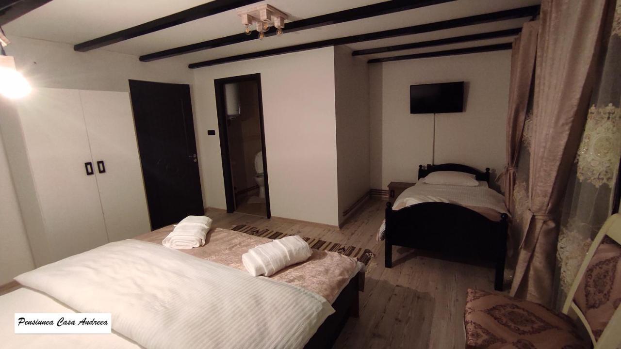 Pensiunea Casa Andreea - Barsana Maramures Bîrsana Екстериор снимка