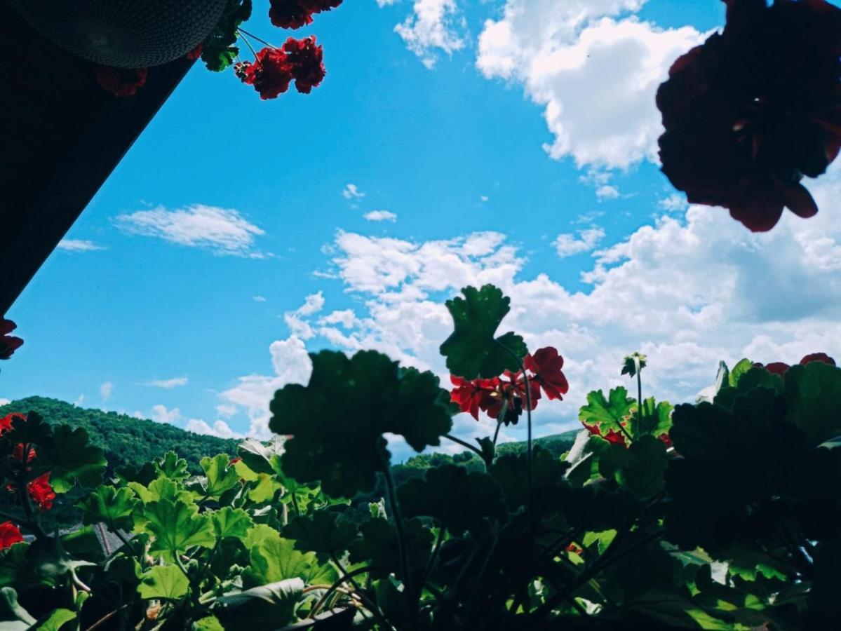 Pensiunea Casa Andreea - Barsana Maramures Bîrsana Екстериор снимка